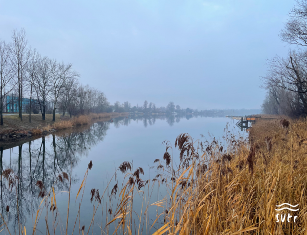 Blick auf die Alte Donau in Wien im Januar